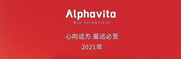 品牌煥新，行穩致遠